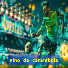 vino de carambola stardew valley